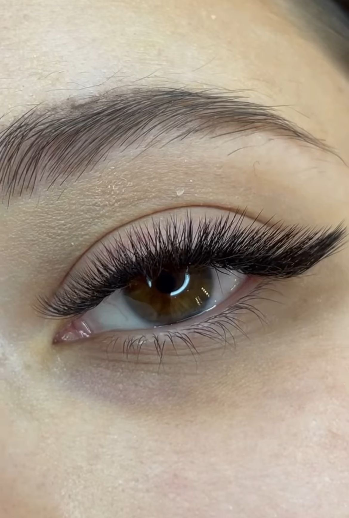 Liner Effect Lashes