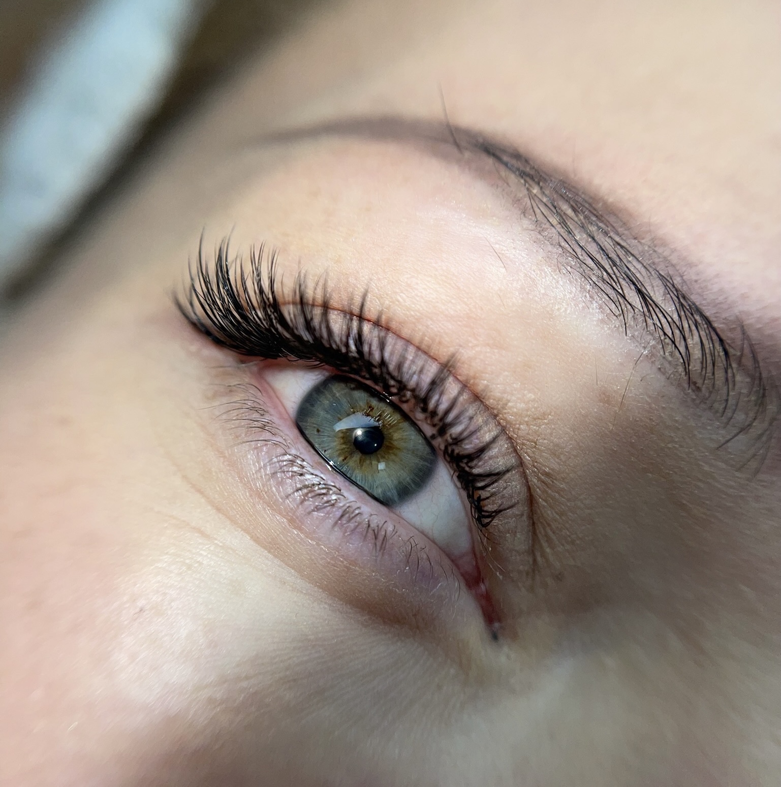 Hybrid  2D Lashes